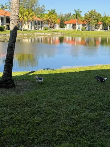 1515 Lake Crystal Drive West Palm Beach FL 33411