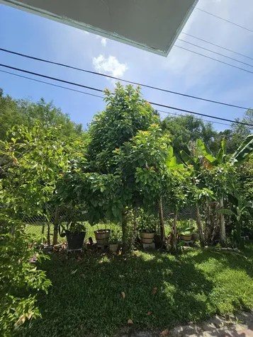 4021 E Shore Road Miramar FL 33023