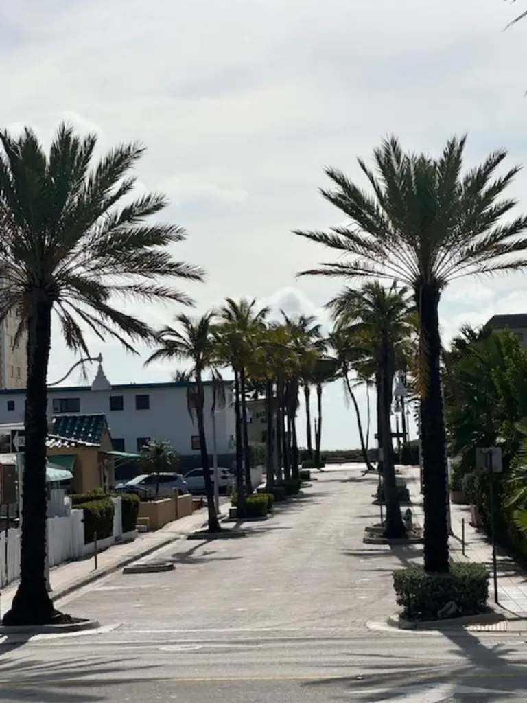 1800 N Ocean Drive Hollywood FL 33019