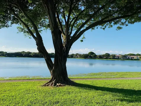 330 Palmwood Place Boca Raton FL 33431