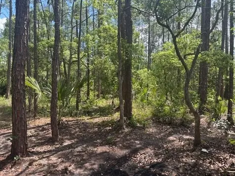 0 Dahlia Road Deland FL 32724