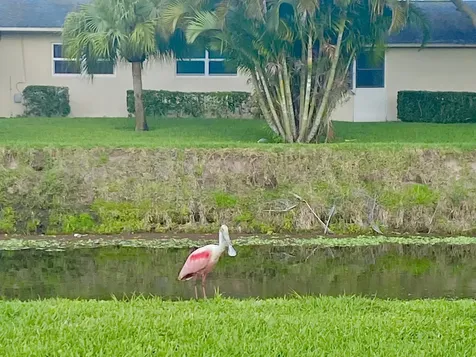 2533 Dudley Drive West Palm Beach FL 33415
