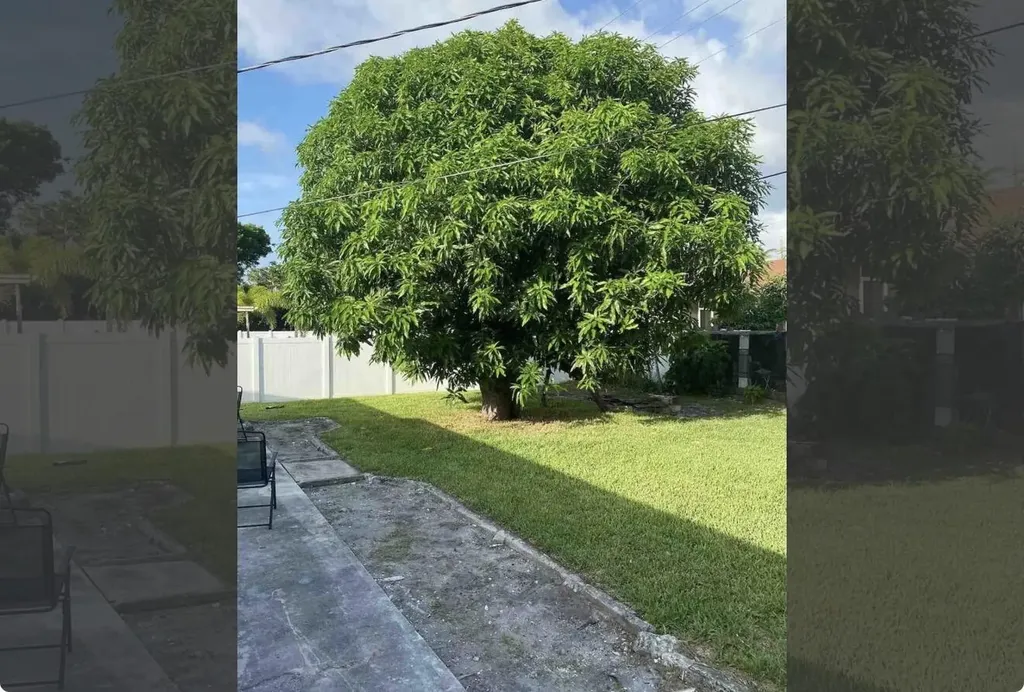 2499 NE 2nd Avenue Boca Raton FL 33431