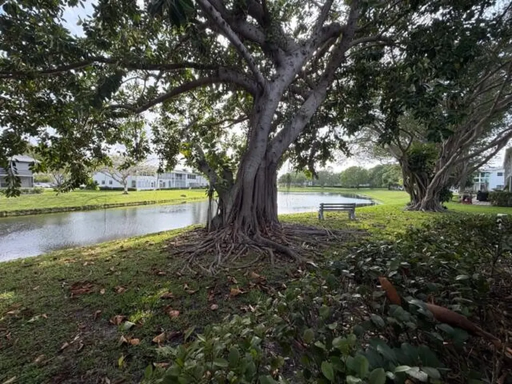 116 Lyndhurst F Deerfield Beach FL 33442
