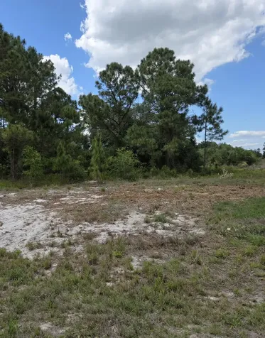 232 Silver Avenue Lake Placid FL 33852