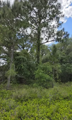 232 Silver Avenue Lake Placid FL 33852