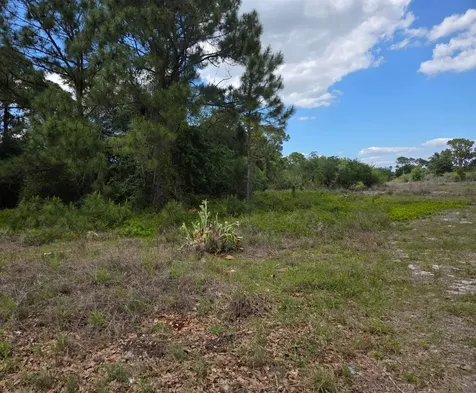 232 Silver Avenue Lake Placid FL 33852