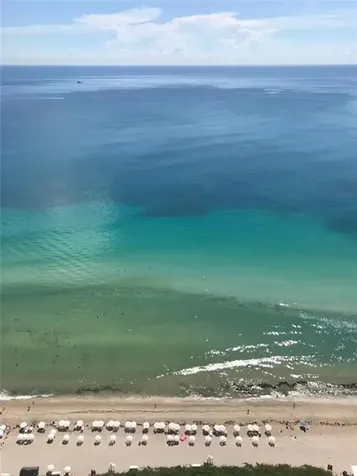 1850 S Ocean Drive Hallandale Beach FL 33009