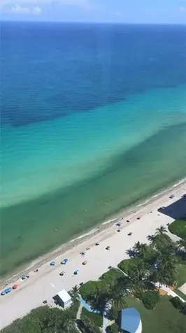 1850 S Ocean Drive Hallandale Beach FL 33009