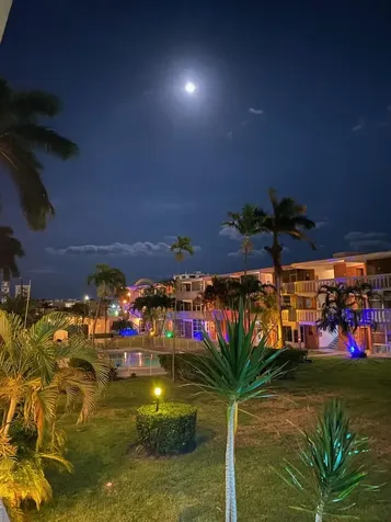 161 NE 10th Avenue Hallandale Beach FL 33009