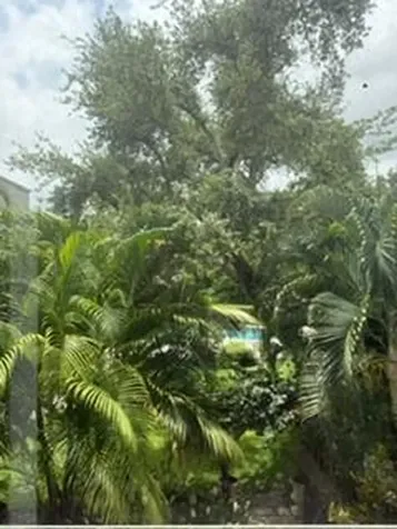 501 SW 11th Boca Raton FL 33432