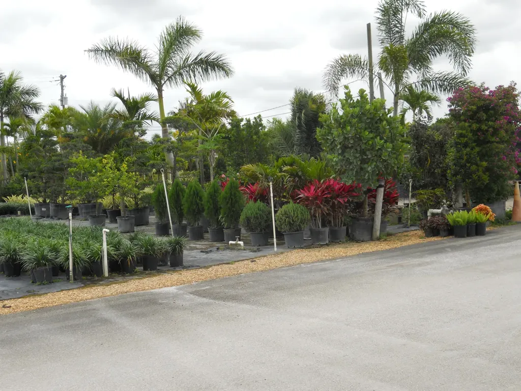 0000 Boynton Beach Boulevard Boynton Beach FL