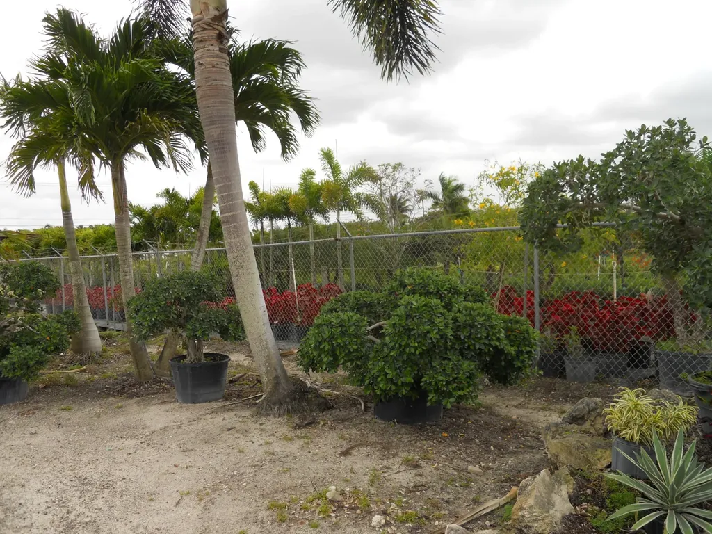 0000 Boynton Beach Boulevard Boynton Beach FL