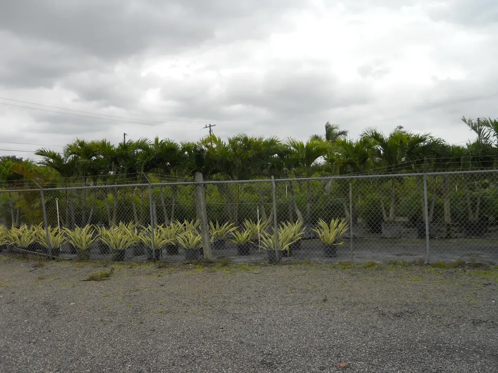 0000 Boynton Beach Boulevard Boynton Beach FL
