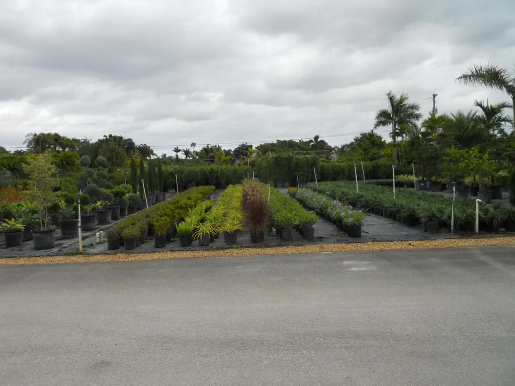0000 Boynton Beach Boulevard Boynton Beach FL