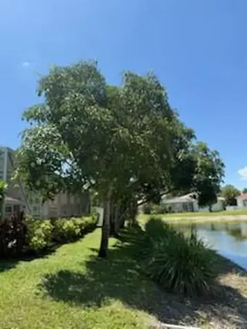 18687 Sea Turtle Lane Boca Raton FL 33498