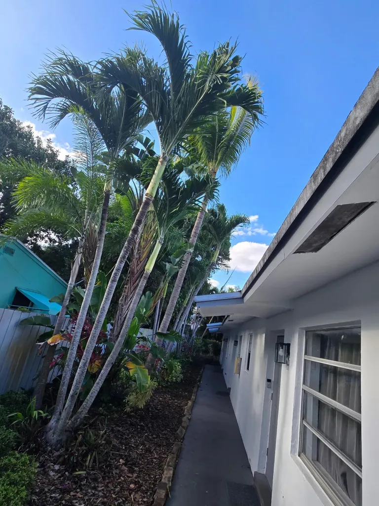 1111 SW 2nd Street Fort Lauderdale FL 33312