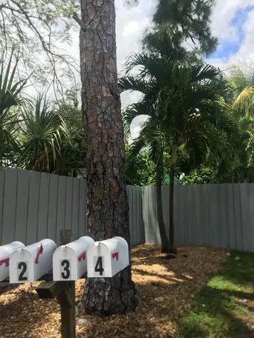 1111 SW 2nd Street Fort Lauderdale FL 33312