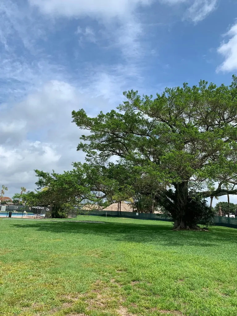 9355 SW 8th Street Boca Raton FL 33428