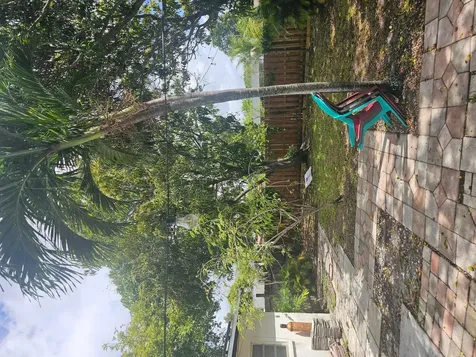 4330 NW 11th Street Lauderhill FL 33313