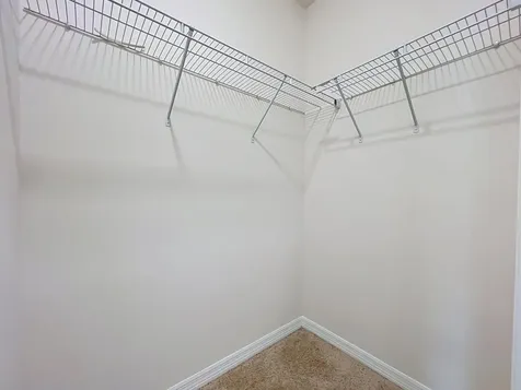 20029 Royal Tern Court Leesburg FL 34748