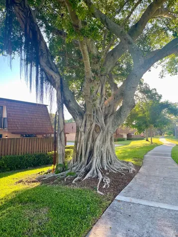 501 5th Lane Greenacres FL 33463