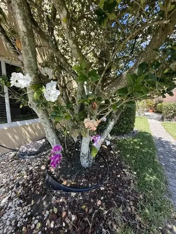 8306 Horseshoe Bay Road Boynton Beach FL 33472