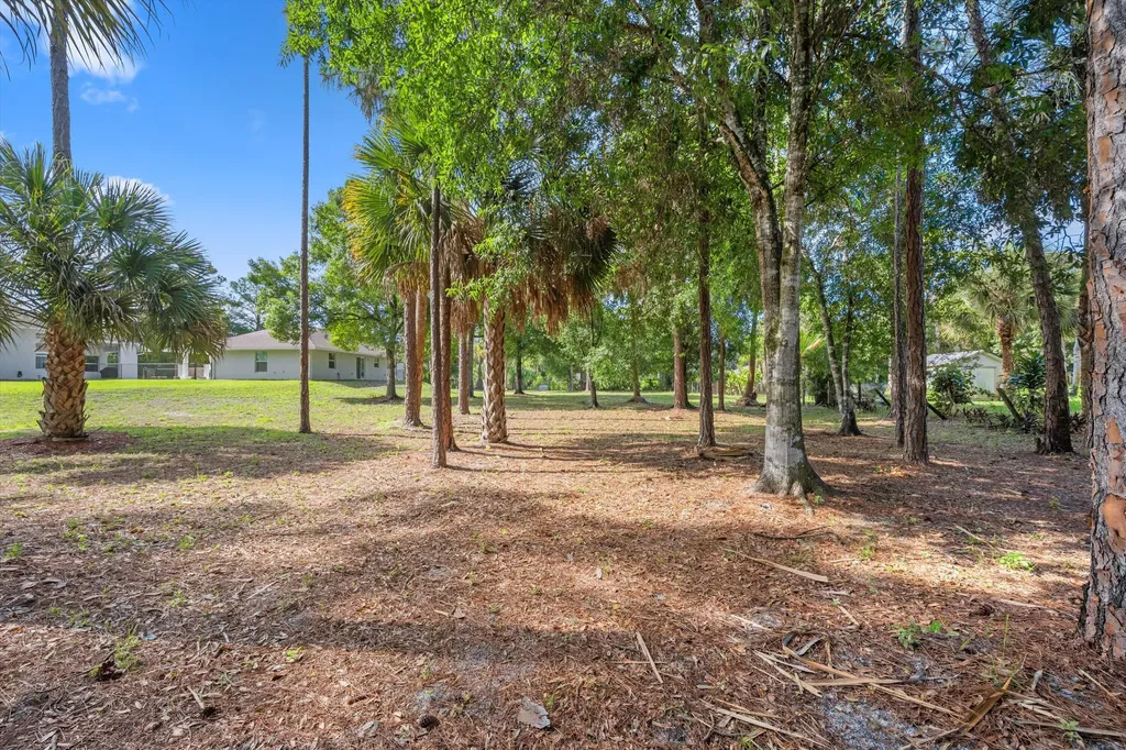 17038 N 61st Place Place N The Acreage FL 33470