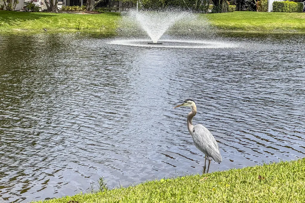12871 Briarlake Drive West Palm Beach FL 33418