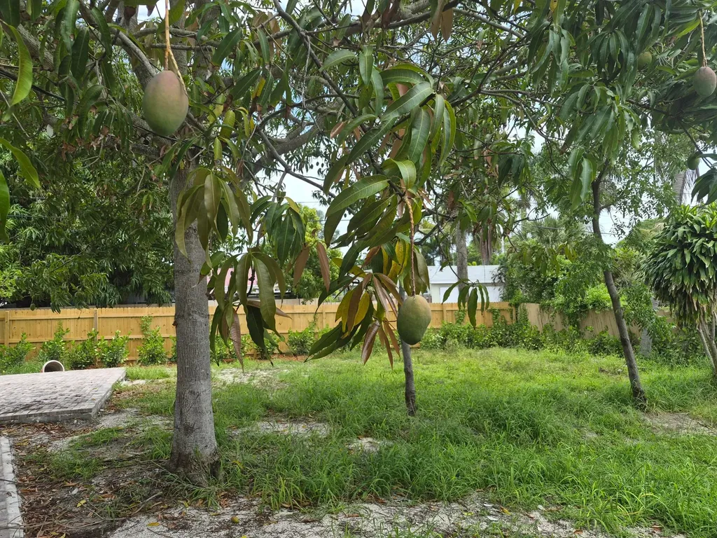 707 Hampton Road West Palm Beach FL 33405