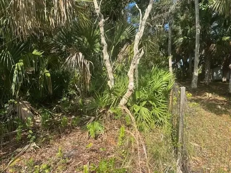 15729 NW 294th Street Okeechobee FL 34972