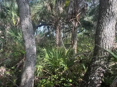 15729 NW 294th Street Okeechobee FL 34972