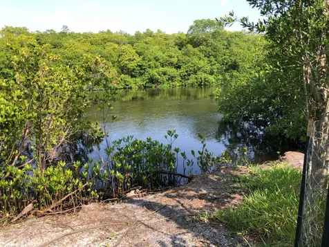 10561 SE Le Parc Jupiter FL 33458