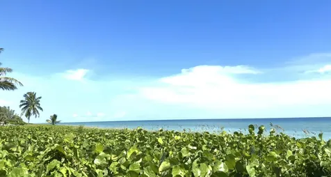 50 Celestial Way Juno Beach FL 33408