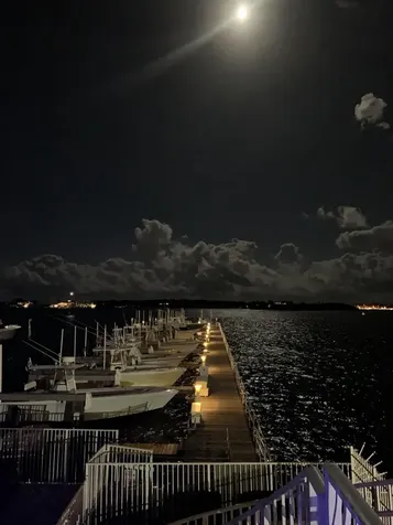 117 Harbors Way Boynton Beach FL 33435
