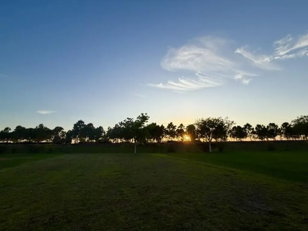 881 Wandering Willow Way The Acreage FL 33470