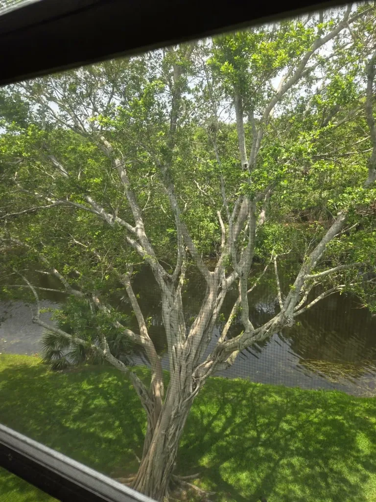 4023 Newport H Deerfield Beach FL 33442