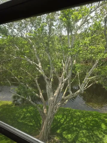 4023 Newport H Deerfield Beach FL 33442