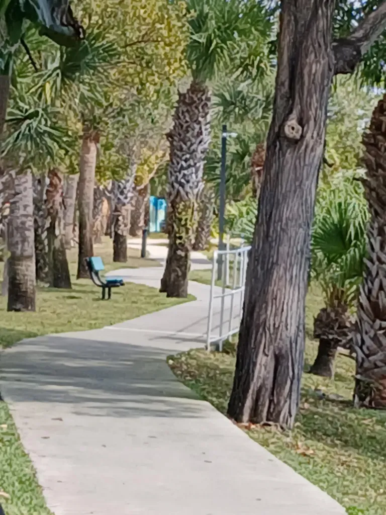 709 Lori Drive Palm Springs FL 33461
