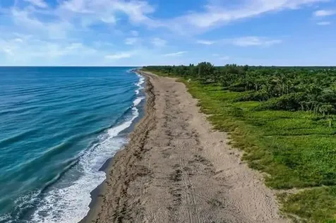 8014 SE Carlton Street Hobe Sound FL 33455