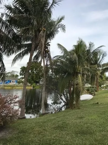 3181 NW 66th Street Fort Lauderdale FL 33309