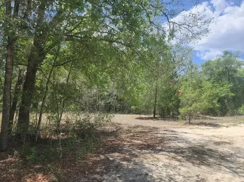 3207 Lich Street Port Charlotte FL 33980