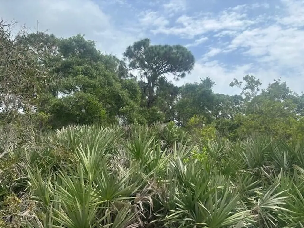 0 Turnpike Feeder Road Fort Pierce FL 34945