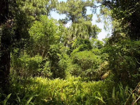 Tbd Oak Hammock Lane Fort Pierce FL 34981