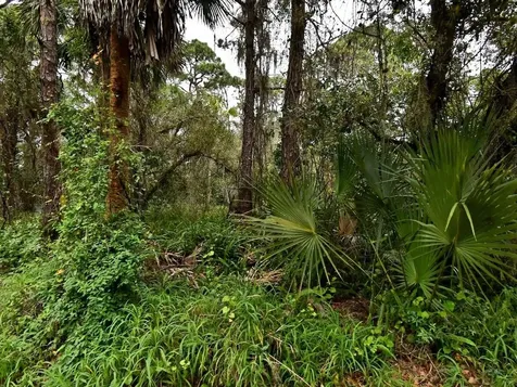 Tbd Oak Hammock Lane Fort Pierce FL 34981