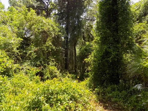 Tbd Oak Hammock Lane Fort Pierce FL 34981
