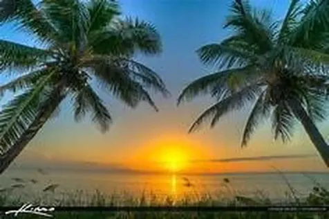 105 Paradise Harbour Boulevard North Palm Beach FL 33408