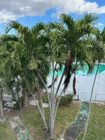1380 NW 43 Terrace Lauderhill FL 33313