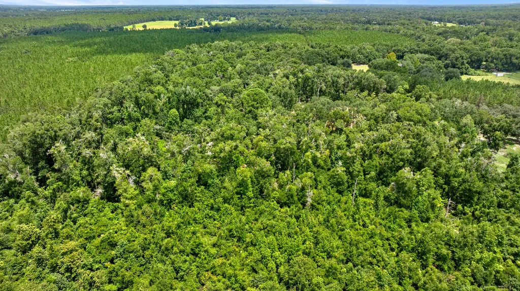 694 SW Quarter Lane Fort White FL 32038