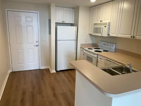 255 Evernia Street West Palm Beach FL 33401